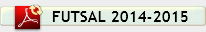 FUTSAL 2015.pdf